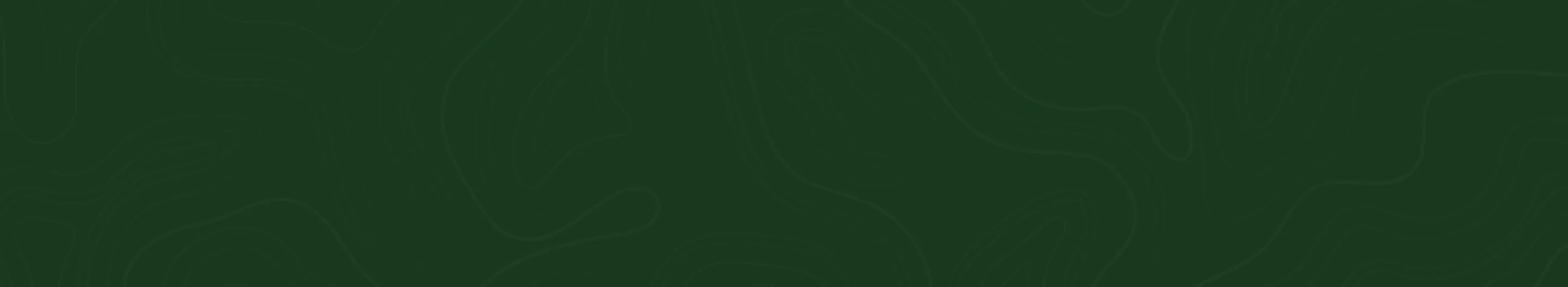 Brand Partners Background Pattern